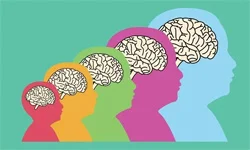 Brain Growth